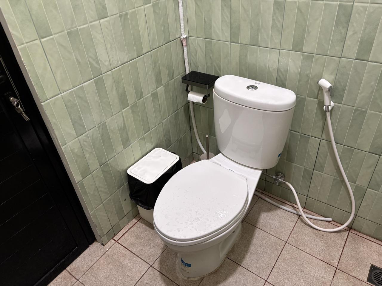 Clean bathroom with green tiles
