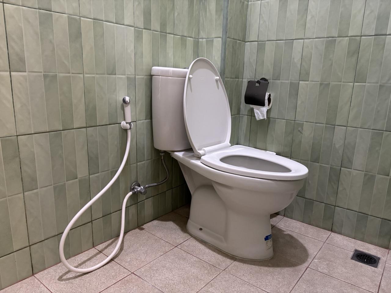 Bathroom with bidet sprayer